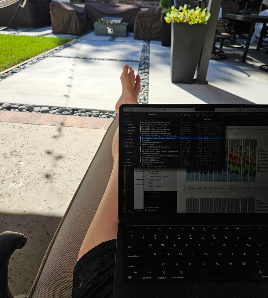 Photo of a woman in shorts on a chaise lounge outside on a sunny day working on a laptop