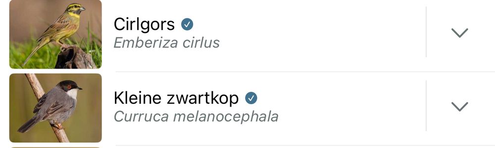 Lijst uit kunnen breiden met nr. 100 & 101.
Peleponnesos / 🇬🇷 