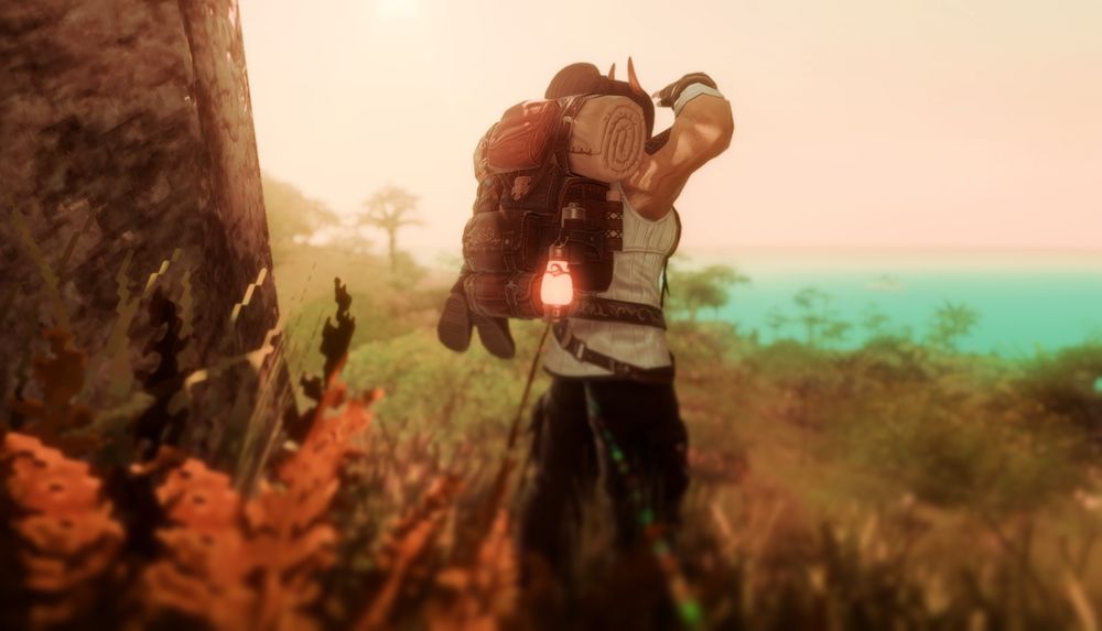 FFXIV - Roegadyn scouting natural environs