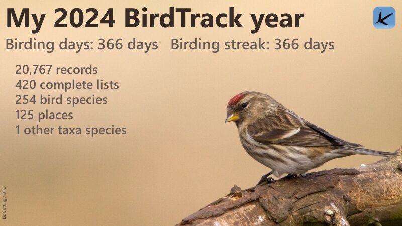 Personal Birdtrack Summary 2024