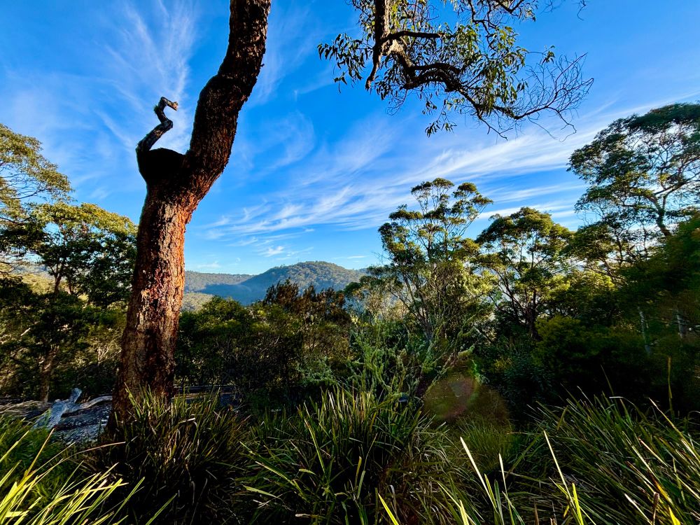 View from Galston Gorge lookout