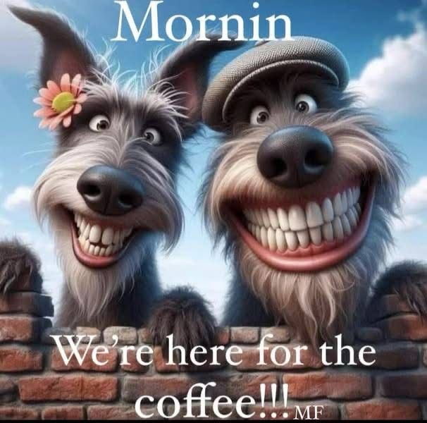 Comment image