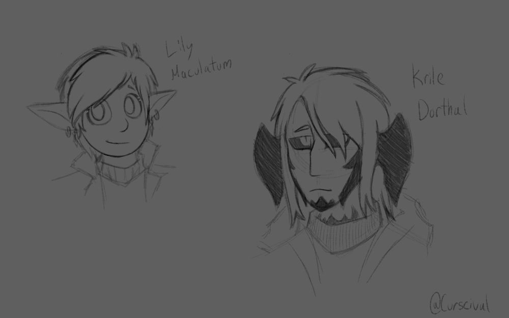 a messily drawn lalafell and au ra. The lalafell is named Lily Maculatum and the Au ra Krile Dorthal