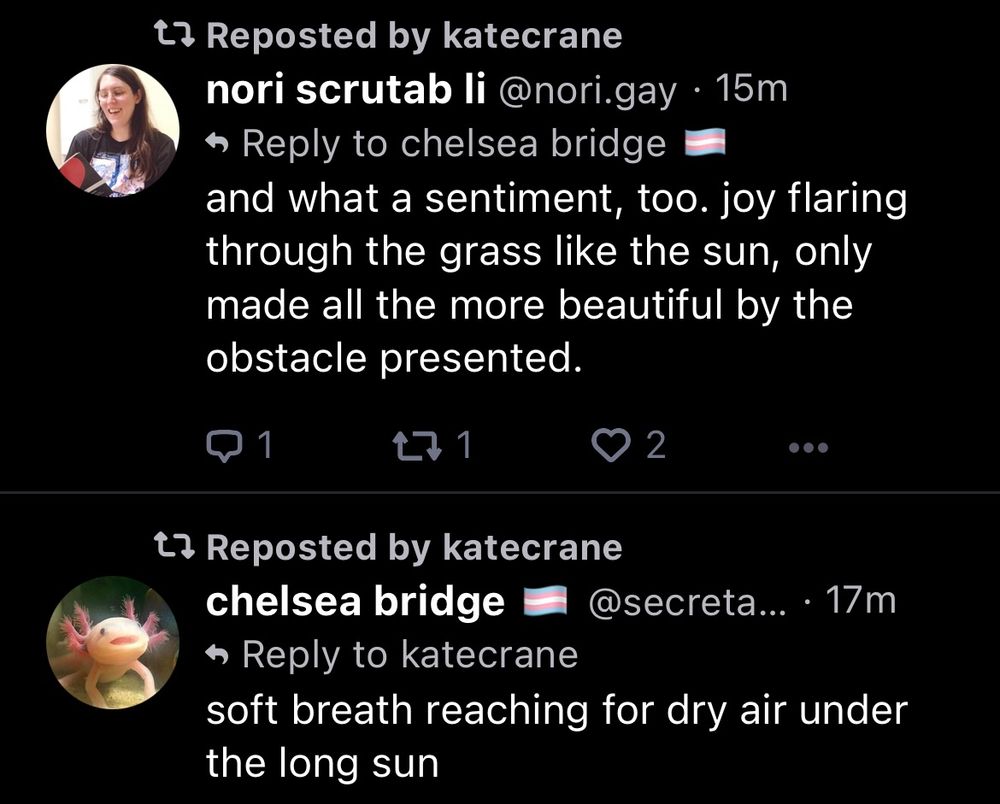 A screenshot of two replies to katecrane:

@nori.gay: 

and what a sentiment , too. joy flaring through the grass like the sun, only made all the more beautiful by the obstacle presented

 chelsea bridge:

soft breath reading for dry air under the long sun