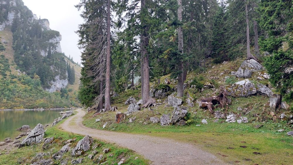Wanderung zum Soinsee. Ein Gebirgssee auf 1500m im Mangfall
gebirge