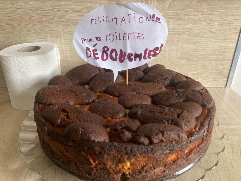 Photo d'un gâteau avec le dessus comme des étrons en chocolat posés dessus avec une bulle de dialogue piquée dedans comportant l'inscription "félicitations pour tes toilettes débouchées" et un rouleau de pq posé à côté 