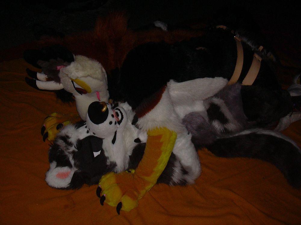 A flash photo of two fursuits on a picnic blanket in the dark. Kasper the collie is laid on his back, with Vec the dragon is positioned on top of him, his hips nestled between the smaller dog’s open legs. The leather straps of a harness are visible around Vec’s hips. 