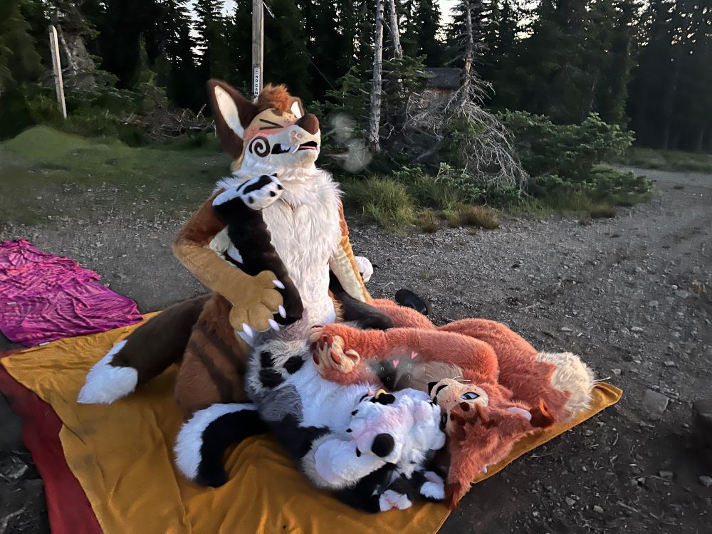 A photo of three fursuiters outdoors on a picnic blanket. Kasper the dog lays on his back with his handpaws covering his face as Alex the fox lifts the smaller dog’s legs and penetrates him from a kneeling position. Pipsqueak the squirrel lays adjacent to Kasper, holding a vibrating wand against the dog’s crotch. Drawn-over elements show the three figures blushing and huffing in pleasure. The ground under the blanket is gravely, with a solid tree line visible further back.