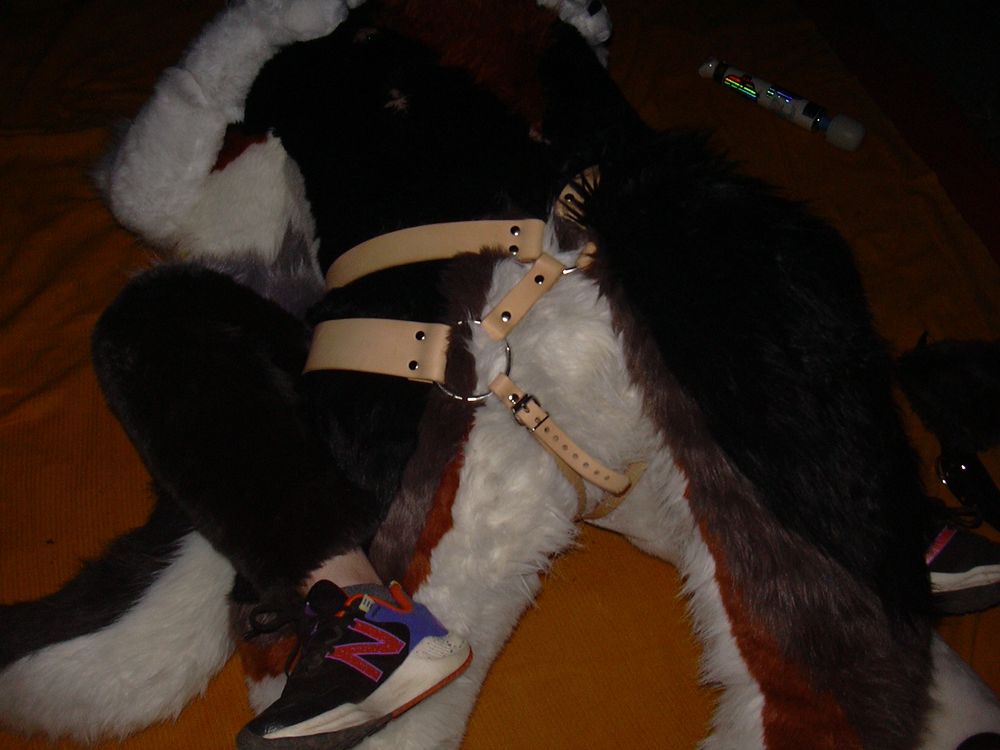 Another angle of the same scene, taken from behind. Vec’s leather strap harness is more clearly visible here. Kasper’s legs, wraps around Vec’s large thigh. He is wearing sneakers. A hitachi wand decorated with holographic stickers is visible on the blanket behind them.