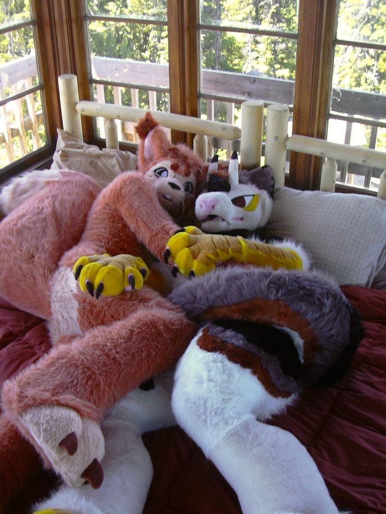 A photo of two fursuits cuddling on a rustic wooden bed. Pipsqueak the squirrel and Vec the feathered dragon. Trees are visible through the windows behind them.