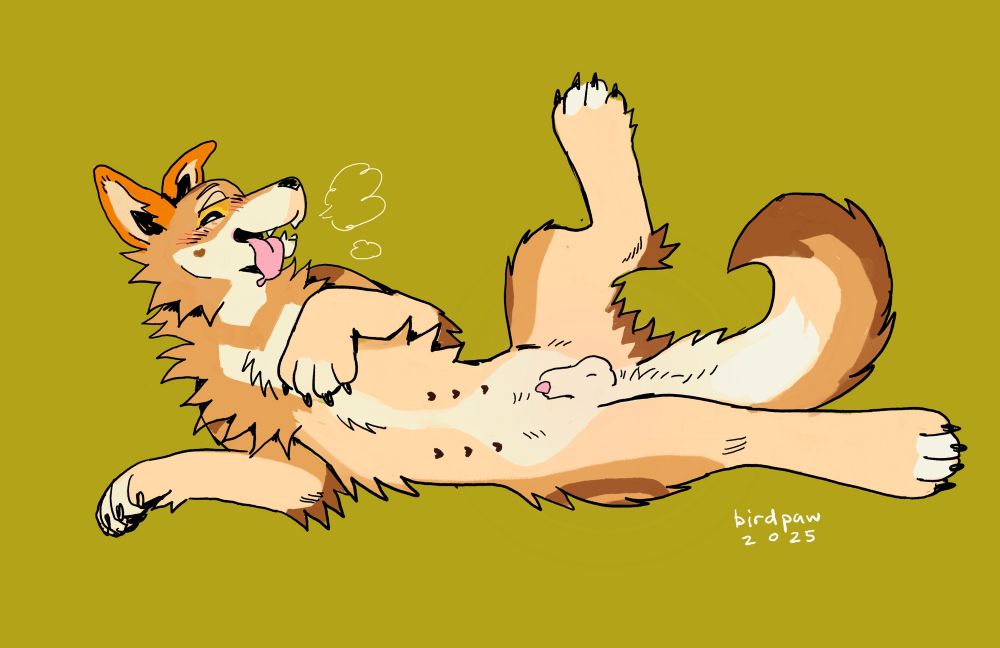 A brown cartoon dog character lays on his back with his tummy exposed, and his tongue hangs out of his mouth happily. His pink tip peeks out of his small sheath. 