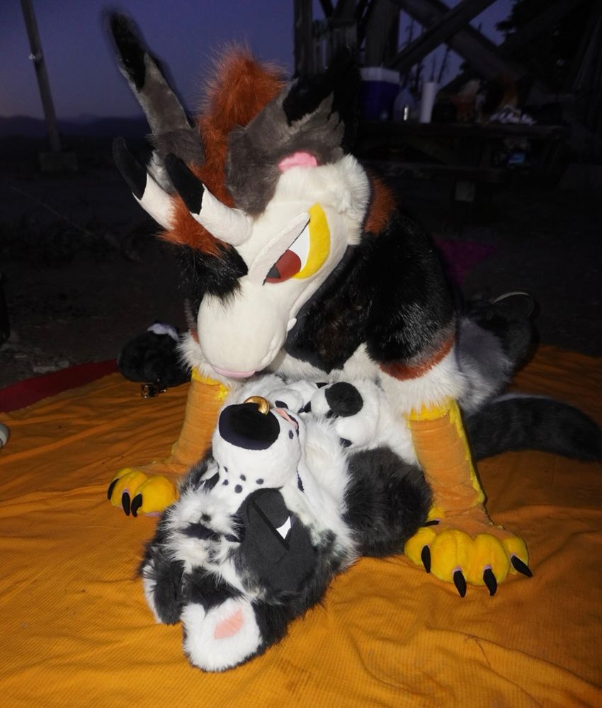 A flash photo of two fursuits on a picnic blanket in the dark. Kasper the collie is laid on his back, with Vec the dragon is knelt on top of him.