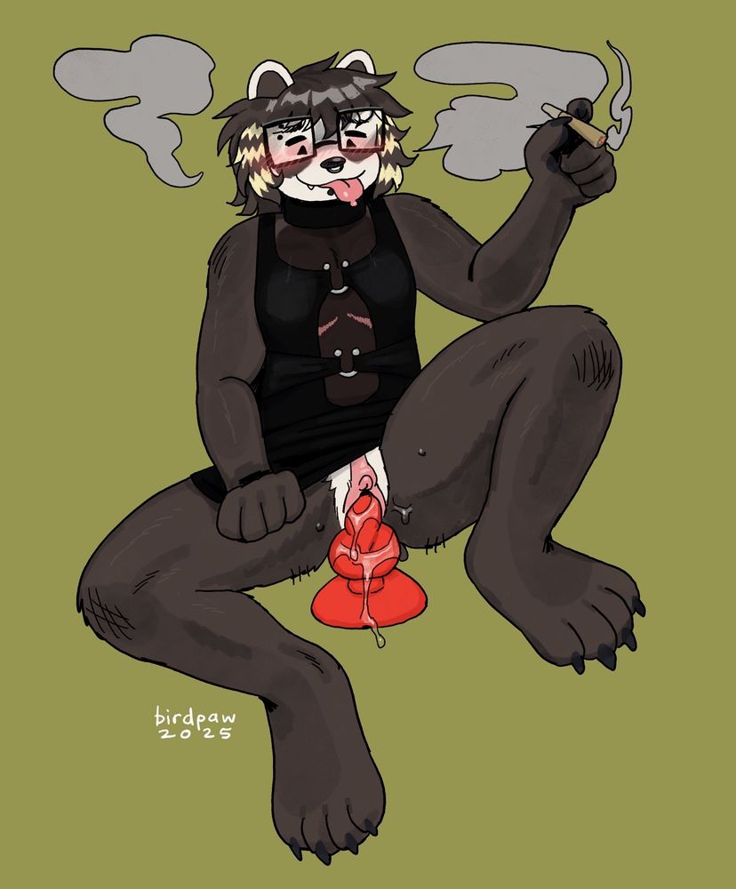 A transmasculine anthro badger with large glasses wearing a slim black dress. He puffs on a joint and lifts his dress to show off the usage of a large red knotted toy. 