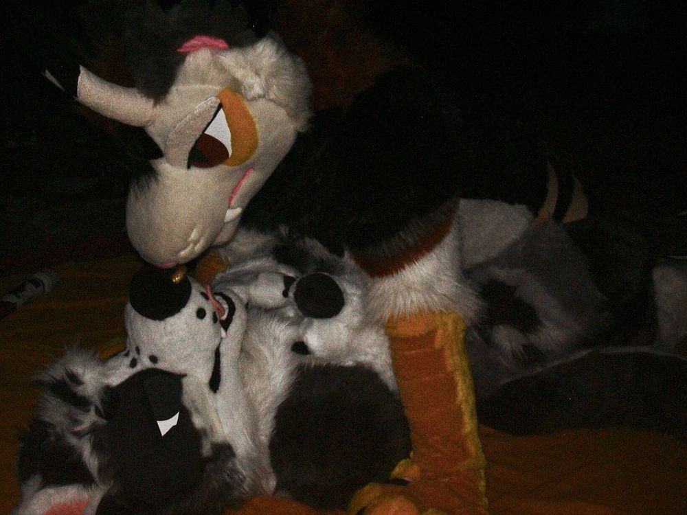 A flash photo of the same scene, and from a similar angle as the first photo. It’s a bit closer, and a bit darker. Vec the dragon has pushed himself up so he is face-to-face with Kasper.