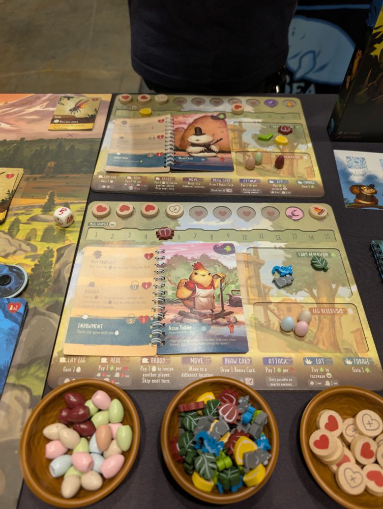 Photo of the Flock Together player boards 