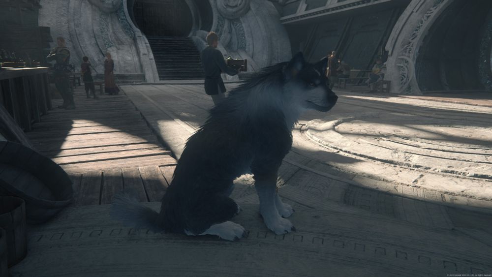 Torgal from Final Fantasy XVI looks at the camera with side eye judgment
