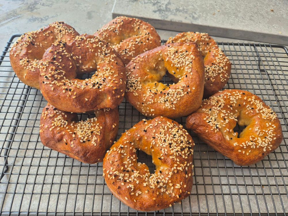 8 slightly wonky bagels with sesame seeds on them on a cooling rack. 