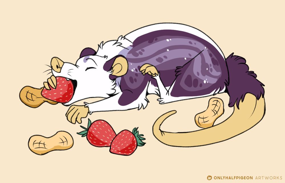 A drawing of a purple and yellow opossum eating strawberries and peanuts.