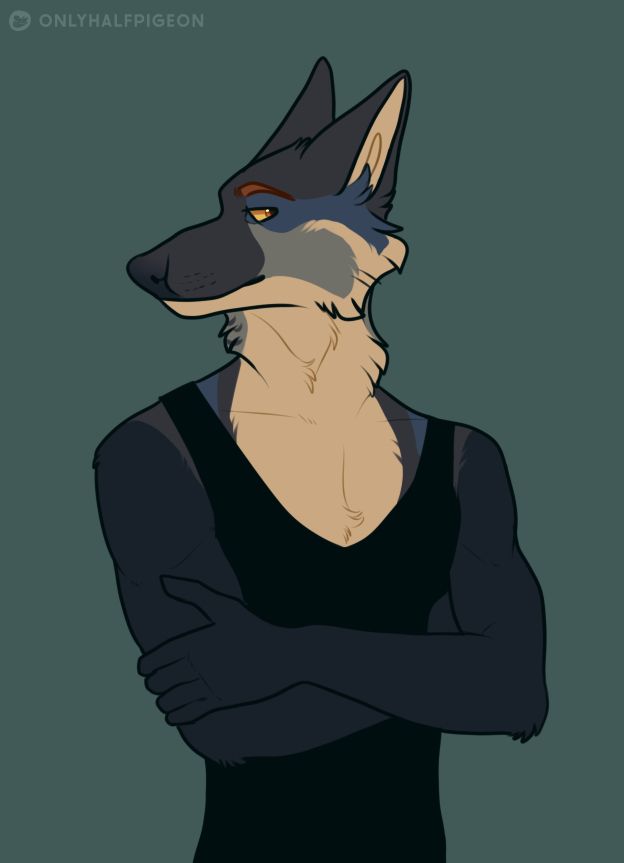 A halfbody drawing of an anthro canine-like character wearing a black tank top. His arms are crossed and he looks unamused.