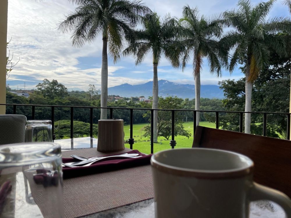 Coffee on a table overlooking a green field and palm trees. Hilly verdant landscape in the distance.