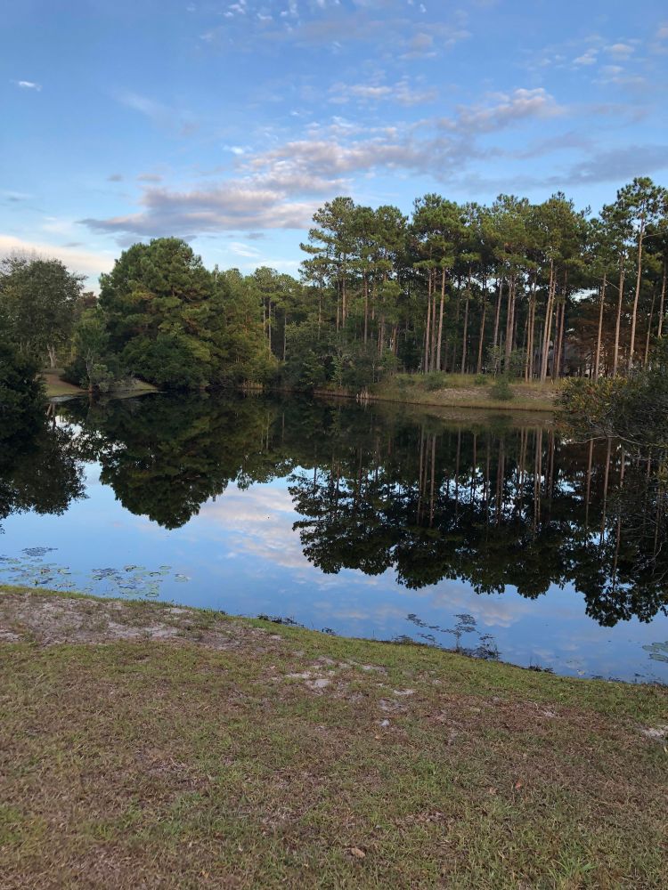 Still waters reflect fluffy clouds from a late afternoon sky. 