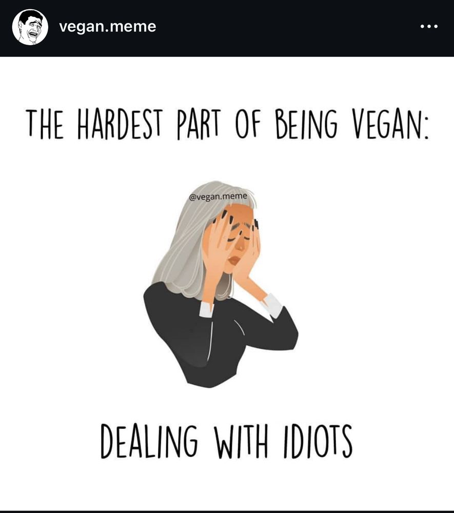 Screenshot Instagram - vegan meme post mit einer Frau mit grauen Haaren und schwarzem Oberteil (Zeichnung), welche einen facepalm mit beiden Händen macht 
'THE HARDEST PART OF BEING VEGAN:

DEALING WITH IDIOTS'

@vegan.meme
