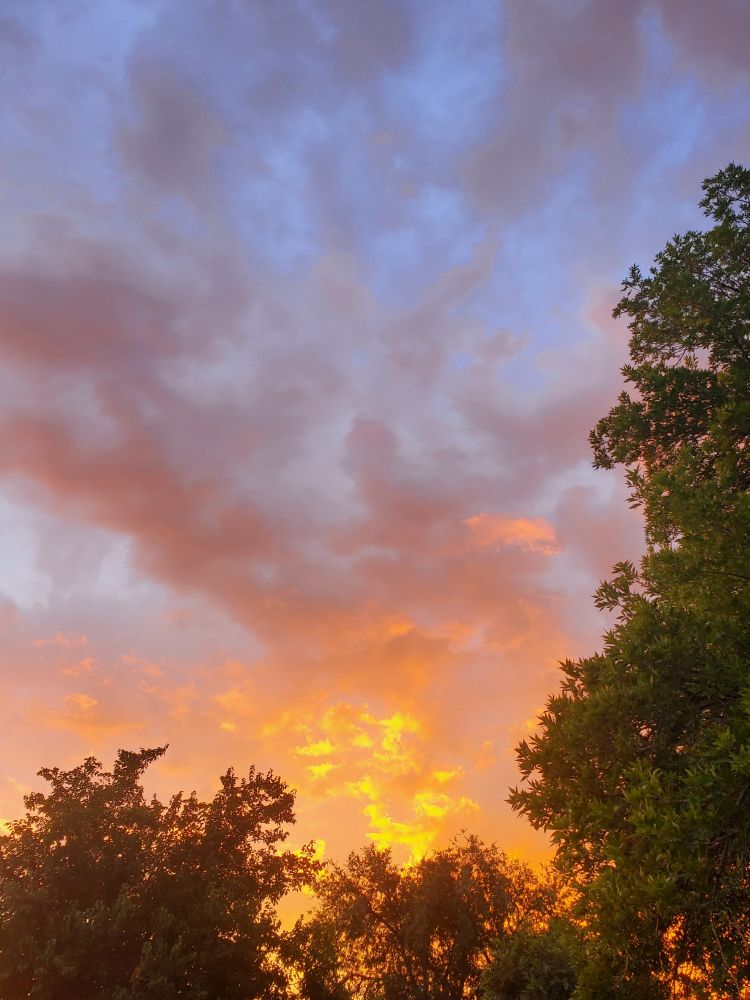 Picture of the sunrise with trees