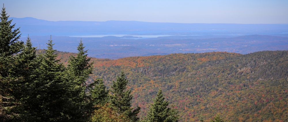 View of trees with fall colors in Vermont