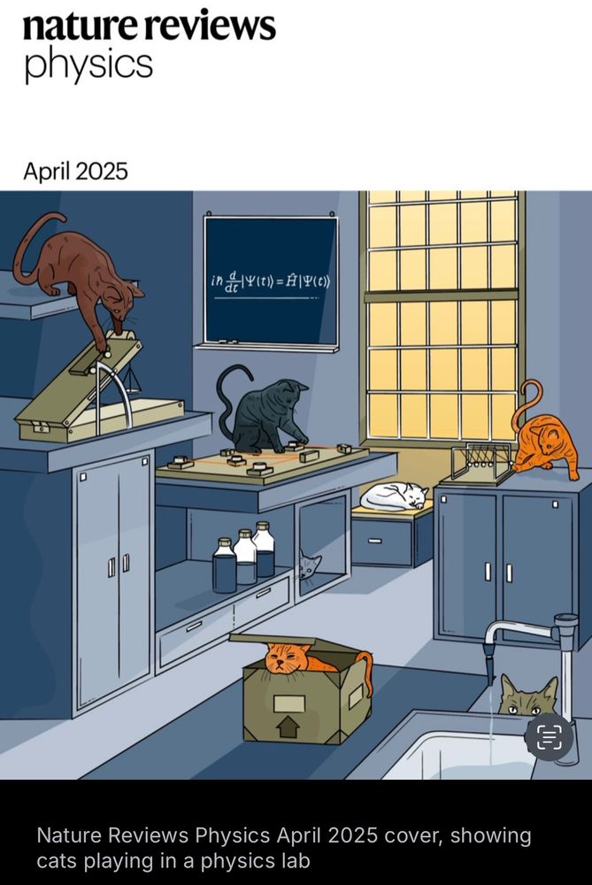 Nature review physics cover April 2025 - lots of cats playing in a physics lab. 