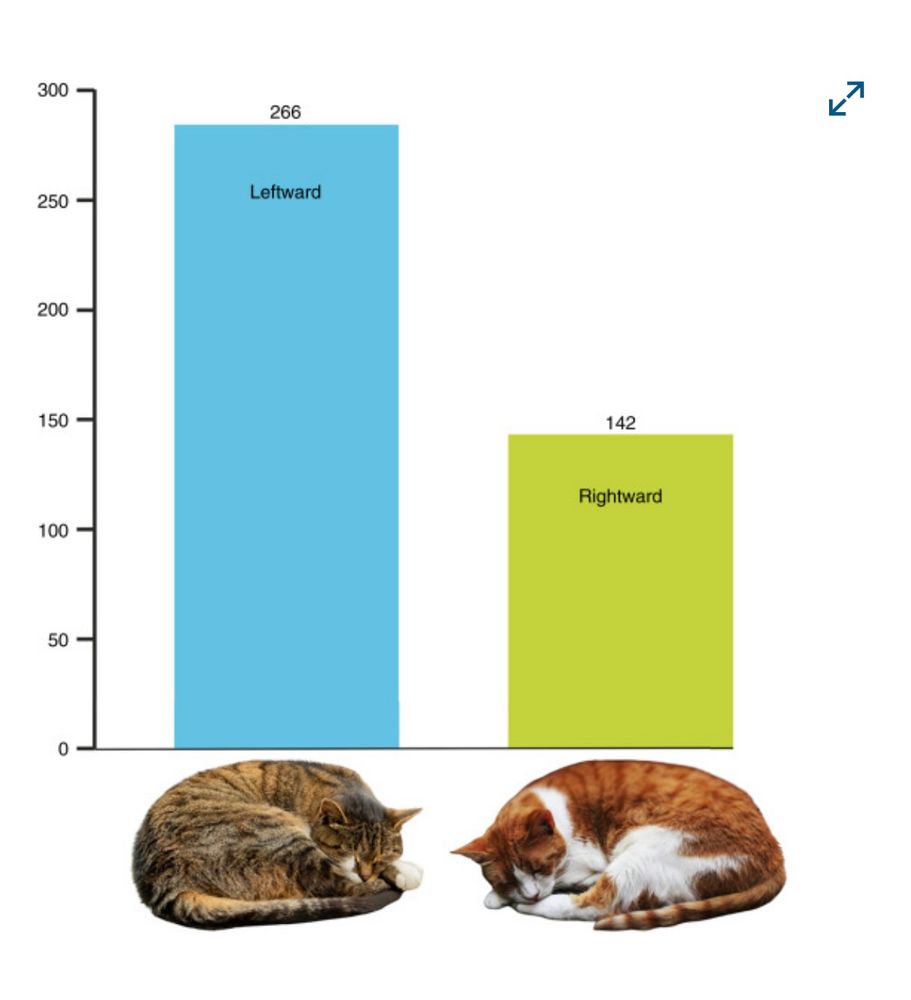 A Bar plot.  
It shows 2/3 of cats studied sleep leftward.  The remaining sleep rightward. 

The plot has photos of two cats sleeping (one leftward, the other rightward) under each chart to demonstrate their results. 

Both cats look comfortable - deep in sleep. 
