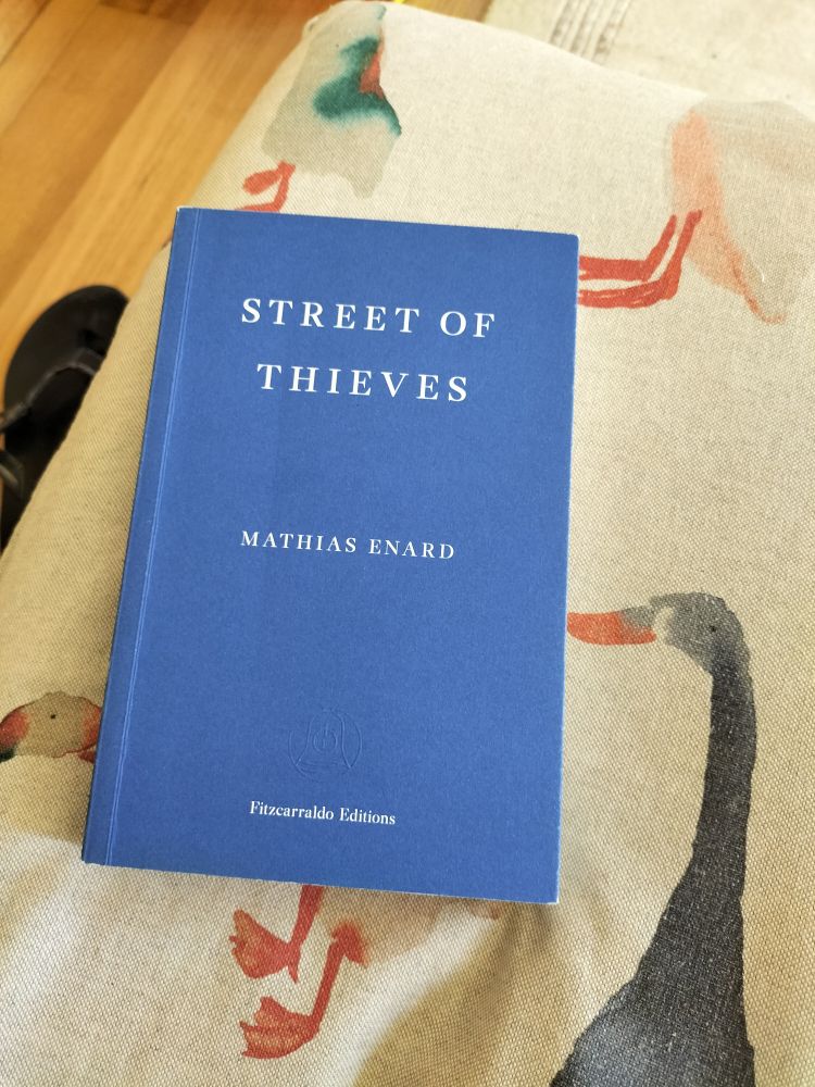 Street of Thieves, by Matthias Enard. Tr by Charlotte Mandell.

Exiled from his family for religious transgressions related to his feelings for his cousin, Lakhdar finds himself on the streets of Barcelona, hiding from both the police and the Muslim Group for the Propagation of Koranic Thoughts, a group he worked for in Tangier, Morocco, not long after being thrown out on the streets by his father. Lakhdar's transformations, from a boy into a man, from a devout Muslim into a sinner, take place against the backdrop of some of the most important events of the past few years: the violence and exciting eruption of the Arab Spring and the devastating collapse of Europe's economy. If all that isn't enough, Lakhdar reunites with a childhood friend, one who is planning an assassination, a murder Lakhdar opposes.