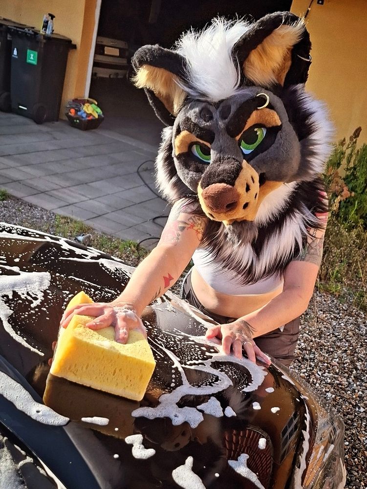 Apply soap. Rinse with water. Repeat. 
Want me to clean your vehicle next? 🫧🧼 #carwash #fursuiteveryday 