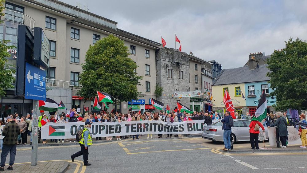 A large crowd of people in Galway city with flags of Palestine and a large banner that reads "occupied territories bill now"