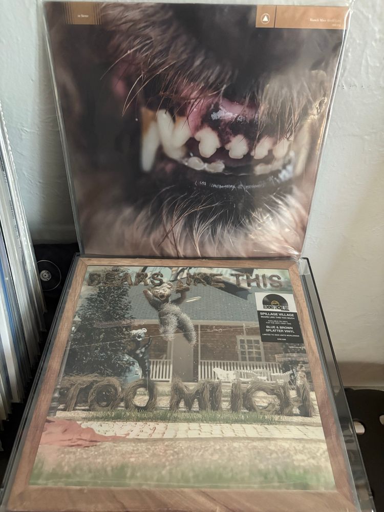 Two vinyl records:
Blanck Mass “World Eater”
Spillage Village “Bears Like This Too Much”