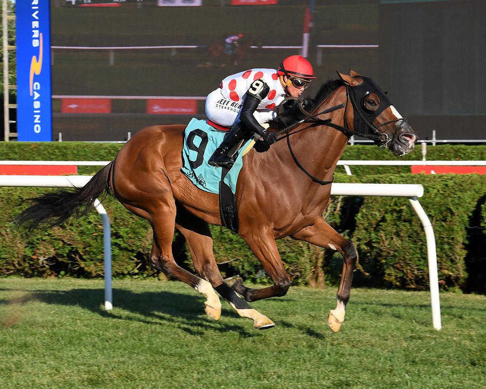 Bring Theband Home, a bay Florida-bred racehorse with chrome, and jockey Javier Castellano gallop strong at Saratoga Race Course, outpacing any competition. The pair, Castellano dressed in the white, red-dotted silks of Live Oak Plantation, and Bring Theband Home in a teal “9” saddle pad, wired the win to score the 2025 $150,000 Harvey Pack. (Photo: ©Janet Napolitano)