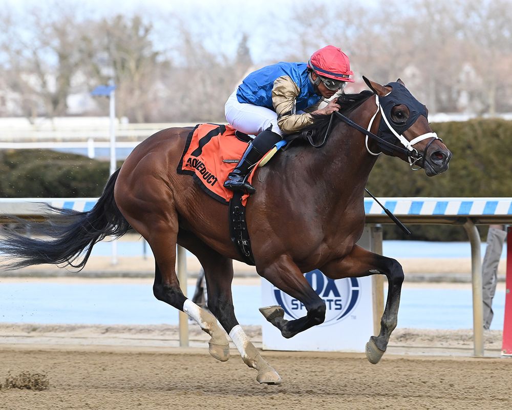 Flood Zone, bay Florida-bred racehorse, and jockey Reylu Gutierrez gallop strong to the wire at Aqueduct. Gutierrez, dressed in blue silks and a red cap, and Flood Zone in an orange “7 Aqueduct” saddle pad, cross the wire ahead of their competition to win the 2025 Grade 3 Gotham. (Photo: ©Chelsea Durand)