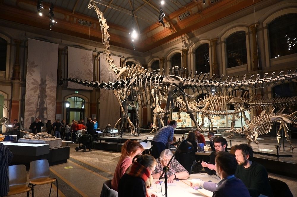 Das Bild zeigt einen Brettspielabend im Sauriersaal des Museums für Naturkunde in Berlin. Im Hintergrund ist ein großes Dinosaurierskelett, vermutlich ein Sauropode wie ein Brachiosaurus, zentral ausgestellt. Weitere Skelette befinden sich im Raum. Besucherinnen und Besucher sitzen an Tischen und spielen Brettspiele. Die Szene ist in warmes Licht getaucht, das sowohl die Skelette als auch die Aktivitäten im Vordergrund ausleuchtet. Die Architektur des Saals ist durch hohe Fenster, Rundbögen und dekorative Elemente geprägt.
