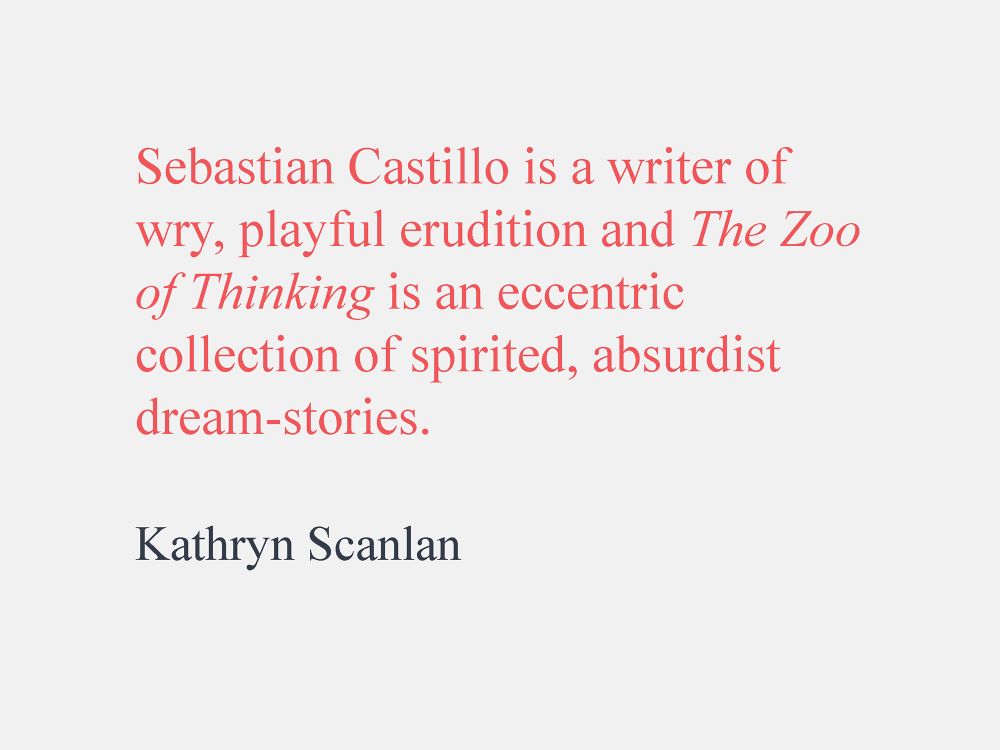 Sebastian Castillo is a writer of wry, playful erudition and The Zoo of Thinking is an eccentric collection of spirited, absurdist dream-stories.
Kathryn Scanlan