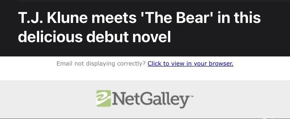 Screenshot of an email. The subject line reads “T.J. Kline meets ‘The Bear’ in this delicious debut novel” followed by the logo for NetGalley