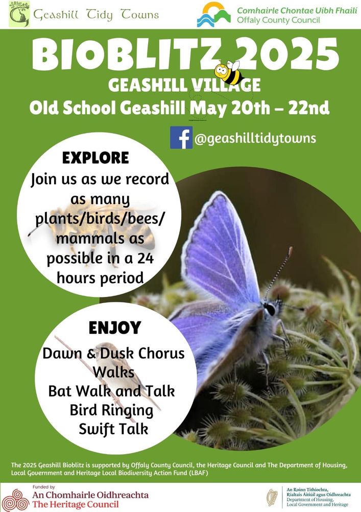 Green poster - 
Text: 

BIOBLITZ 2025 GEASHILL VILLAGE

Old School Geashill May 20th - 22nd

EXPLORE
Join us as we record as many
plants/birds/bees/ mammals as possible in a 24 hours period

ENJOY
Dawn & Dusk ChorusWalks
Bat Walk and Talk
Bird Ringing
Swift Talk