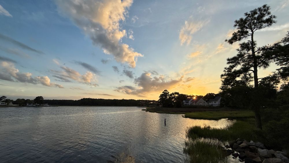 The setting sun is shining through the distant trees. Scattered clouds reflect yellow and orange light, against a blue sky. A single pine tree is silhouetted on the right side.