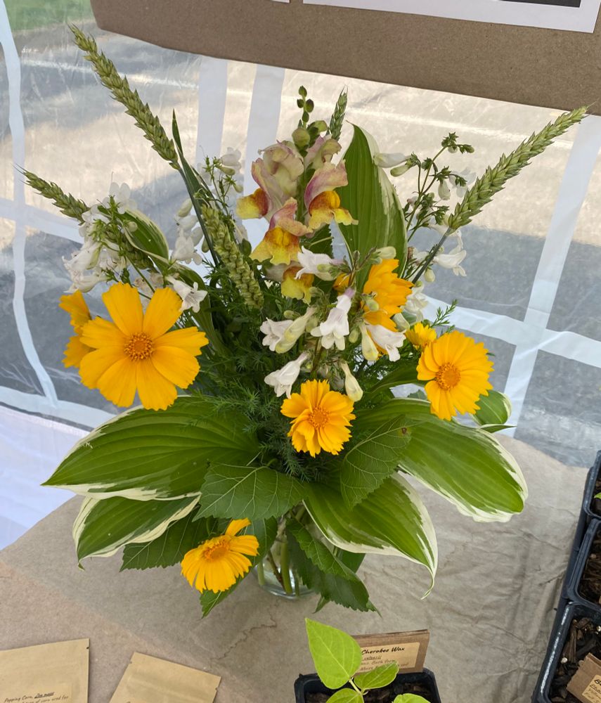 Vase arrangement with snapdragon, native coreopsis & native beardtongue 
