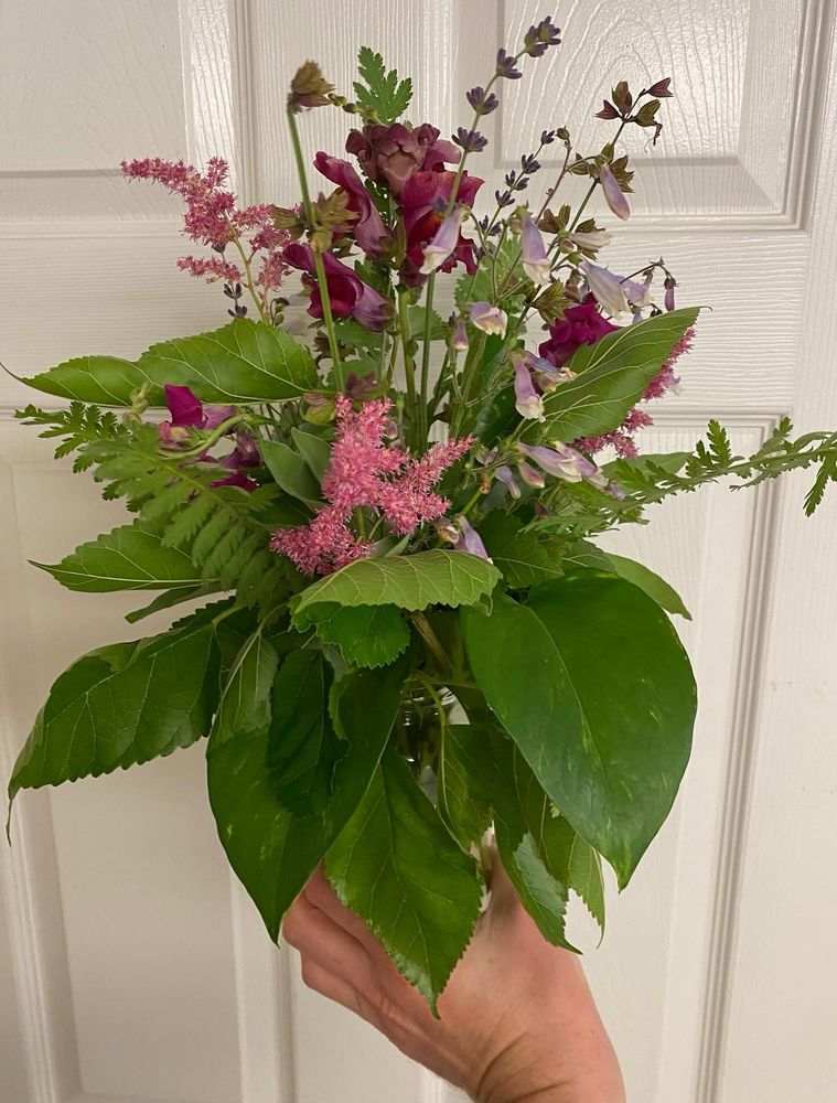 Vase arrangement with snapdragons, astilbe, & native beardtongue