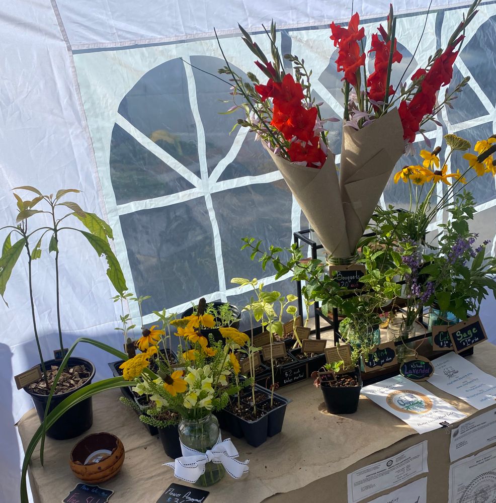Farmers market table. Cut herbs & flowers, bouquets, arrangements & potted plants