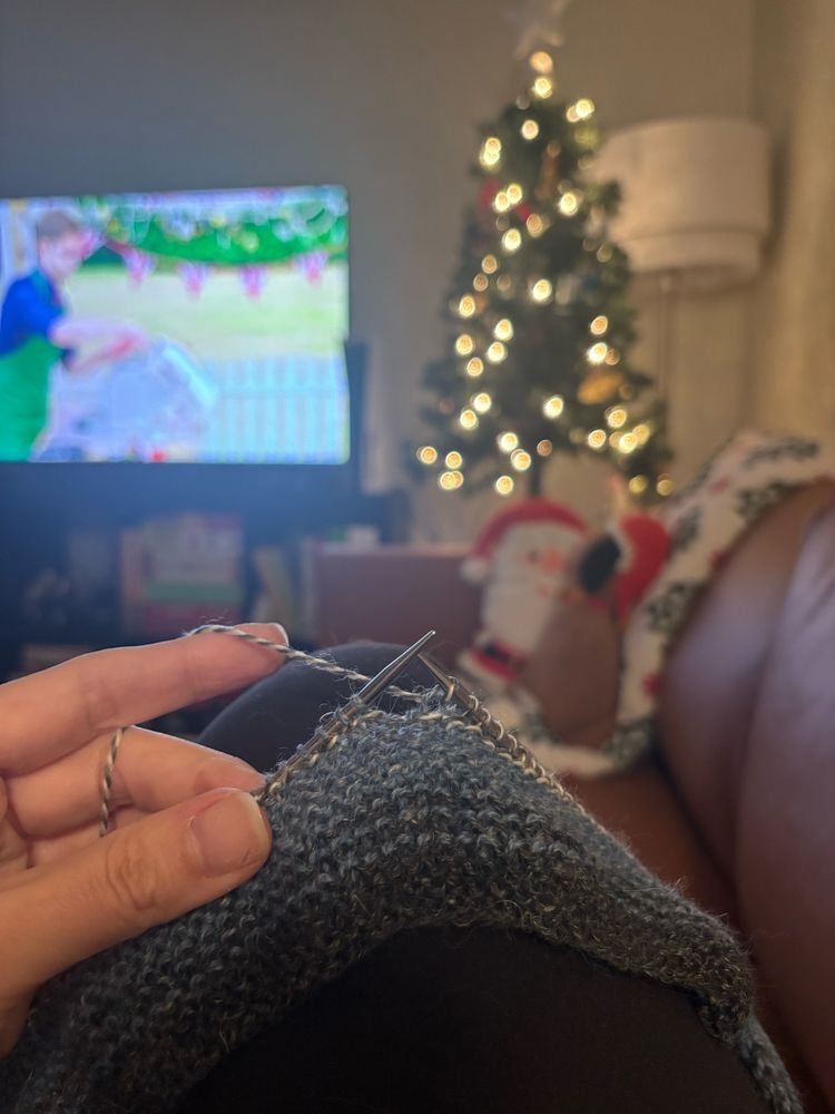 In the foreground I’m holding my in progress knitting, a couple inches of gray, blue, and salt and pepper rows. In the background blurry is holiday stuffies, a small Christmas tree and great British bake off holiday edition. 