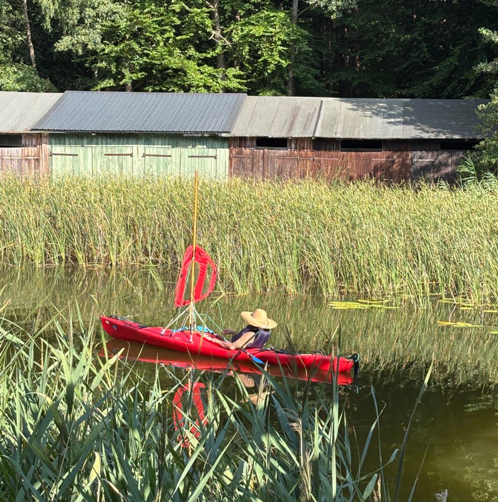 Eine Person mit breitem Strohhut sitzt in einem roten Kajak mit kleinem roten Segel, das zwischen hohem Schilf auf einem ruhigen Gewässer treibt. Im Hintergrund stehen alte, bunt verwitterte Bootsschuppen vor dichtem, grünen Wald.