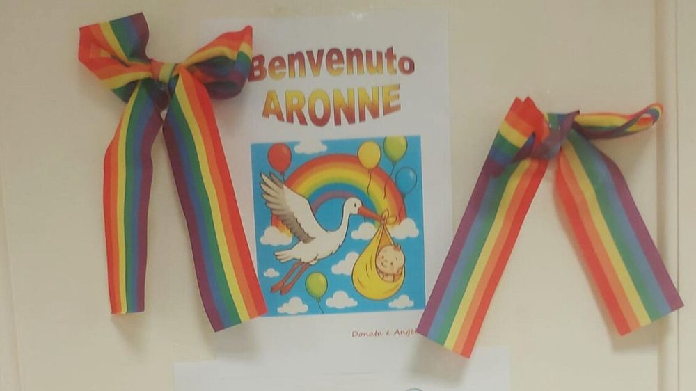 Al comune di Padova. Salvini: 'Era proprio necessario?' (ANSA)