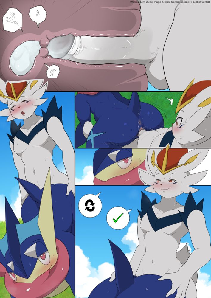 The Hare and the Frog (Cinderace x Greninja) page 5