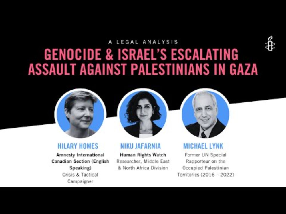 A Legal Analysis: Genocide & Israel's Escalating Assault Against Palestinians in Gaza