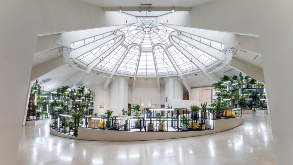 Explore Rashid Johnson’s major solo exhibition featuring nearly 90 works and dynamic performances in the museum’s rotunda.